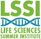 LSSI new logo